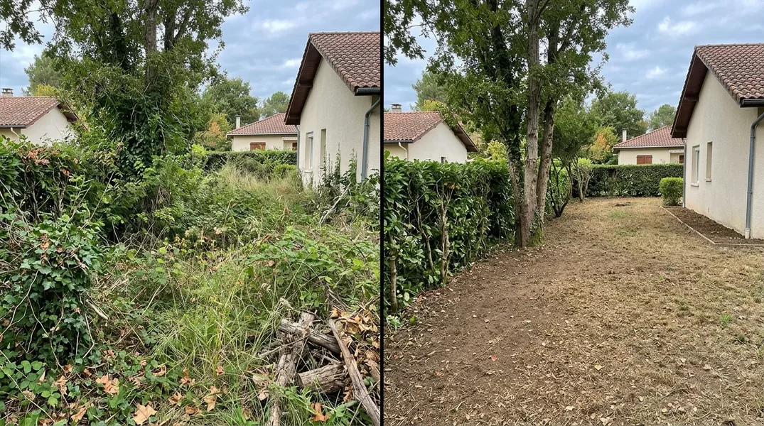 Résultat élagage dans le Loiret — Elagage Orléans